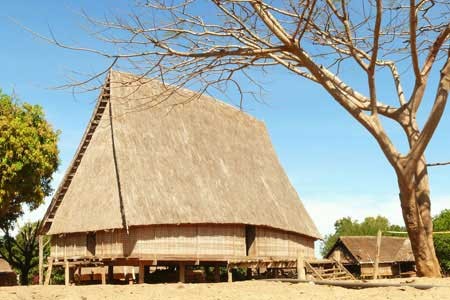 La arquitectura de la etnia Brau en Tay Nguyen - ảnh 2