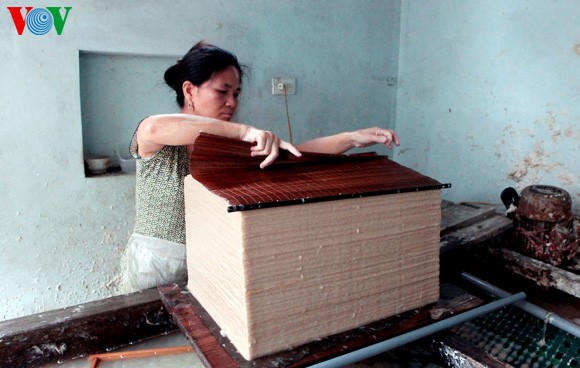 El papel de papiro goza de vida y salud en Vietnam - ảnh 3