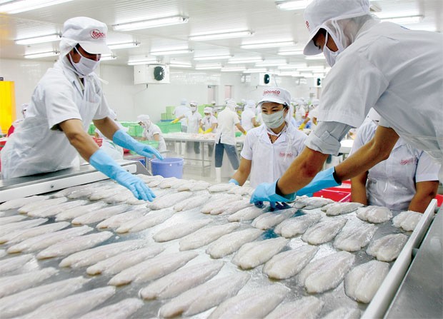 Critica abogado norteamericano impuesto antidumping a pescados vietnamitas - ảnh 1