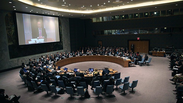 Consejo de Seguridad de ONU discute solución para Siria - ảnh 1