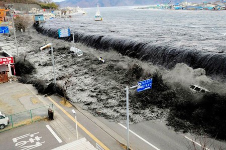Vietnam y Japón comparte experiencias en el enfrentamiento a desastres naturales - ảnh 1