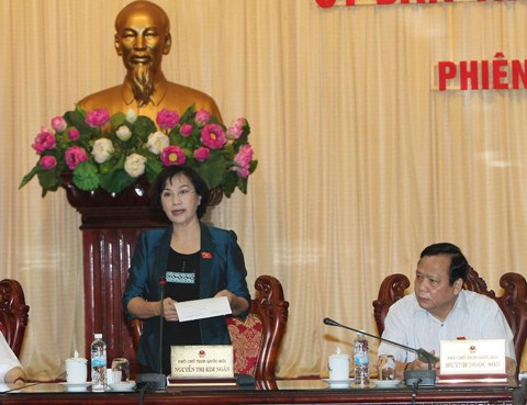 Piden arreciar la disciplina en la ejecución de leyes en Vietnam - ảnh 1