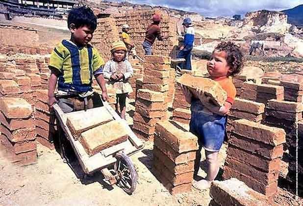 Registran avances en 10 países en lucha contra trabajo infantil - ảnh 1