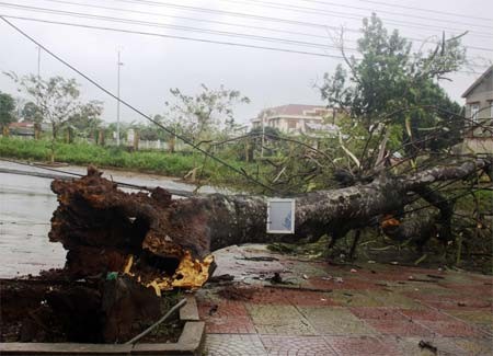 Tormenta Nari  causa graves daños en zonas costeras centrales vietnamitas - ảnh 12