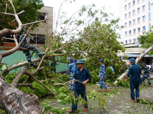 Tormenta Nari  causa graves daños en zonas costeras centrales vietnamitas - ảnh 6