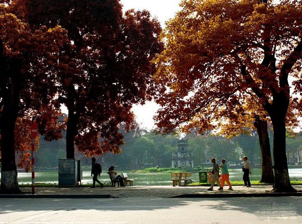 Hanoi en los últimos días del otoño  - ảnh 14