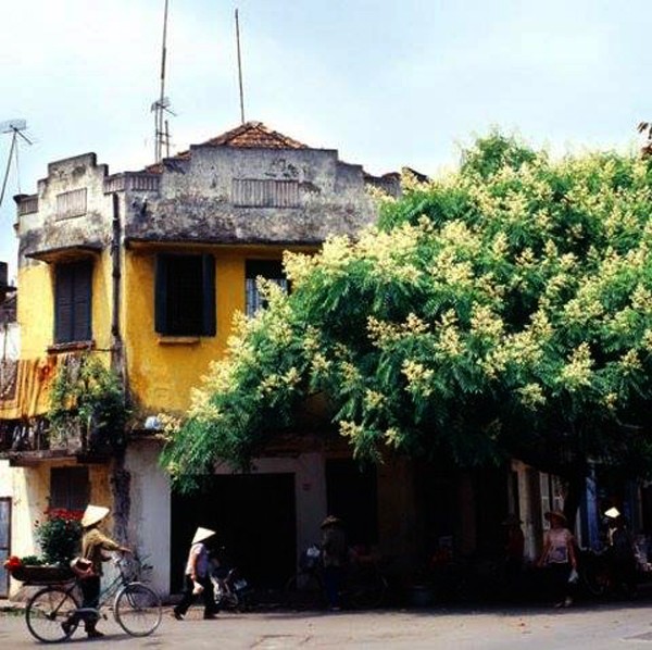 Hanoi en los últimos días del otoño  - ảnh 6