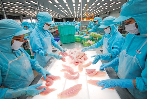Exportaciones de artículos acuáticos salvan economía vietnamita - ảnh 2