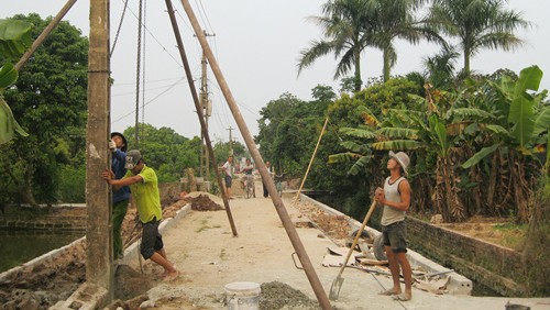 Dong Tho moviliza fuerza del pueblo para edificar área rural - ảnh 1