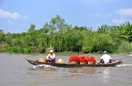 Inaugurado el Foro de Cooperación económica del delta del Mekong 2013  - ảnh 1
