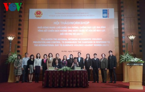 Adelanta Vietnam labores de prevención y lucha contra violencia doméstica - ảnh 1