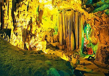 Parque nacional Phong Nha - Ke Bang: un regalo invaluable de la naturaleza - ảnh 3
