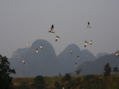 Parque nacional Phong Nha - Ke Bang: un regalo invaluable de la naturaleza - ảnh 2