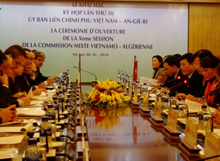 Sesiona en Hanoi Comisión Intergubernamental Vietnam–Argelia  - ảnh 1