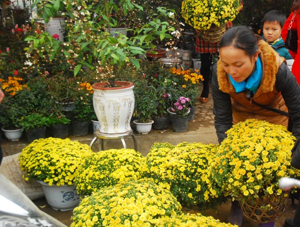 Mercado de flores regocijan a compatriotas de Lao Cai - ảnh 3