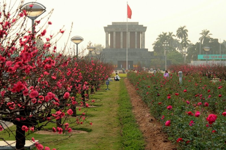 Hanoi se colorea con arbolitos del Tet vietnamita  - ảnh 2