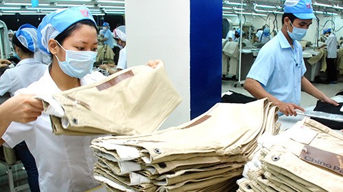 Grupo textil de Vietnam aumenta producción de materias primas para elevar valor exportable - ảnh 1