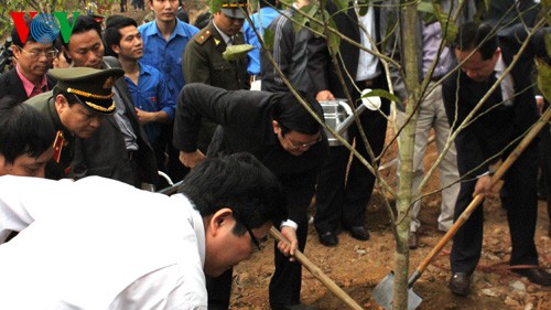 Inaugura presidente vietnamita campaña forestal de primavera - ảnh 1
