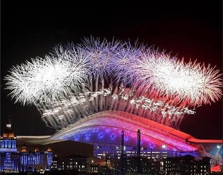Inicia Putin agenda de encuentros cimeros al margen de los Juegos de Sochi - ảnh 1