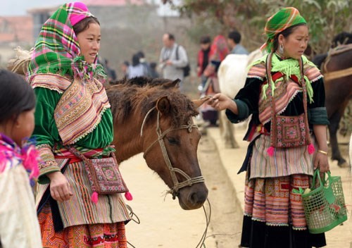 El caballo en la vida de montañeses en el Noroeste de Vietnam - ảnh 2