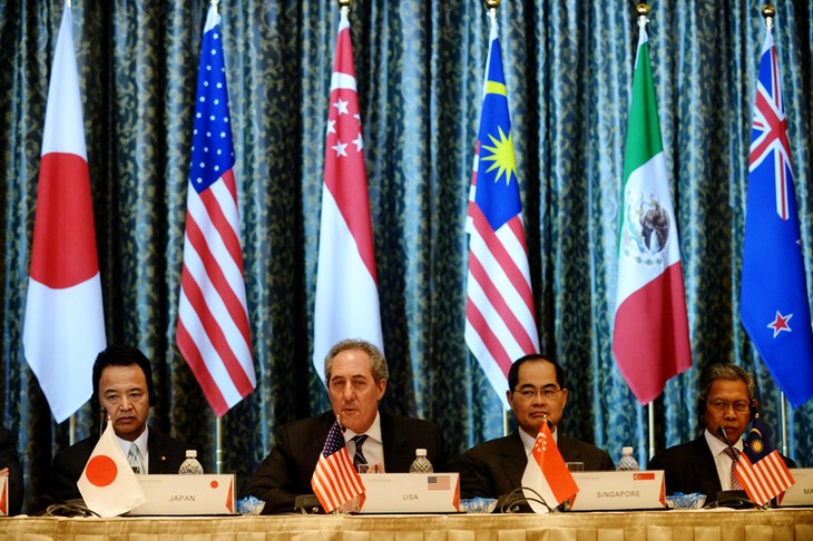 Vietnam participa con buena voluntad en negociaciones del TPP - ảnh 1