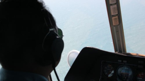 Vietnam prosigue cooperando en  búsqueda del avión malasio desaparecido  - ảnh 1