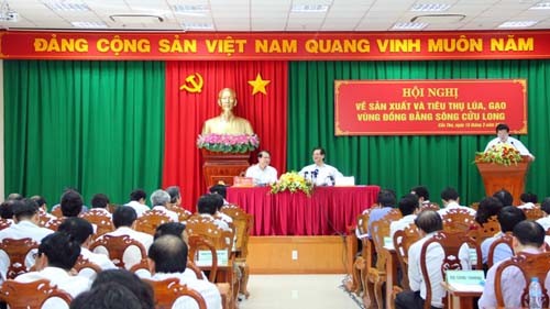 Reunión sobre consumo de arroz de delta de Mekong - ảnh 1