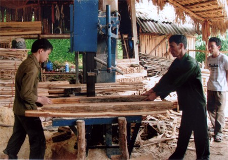 Formación profesional para trabajadores rurales en Yen Bai - ảnh 2