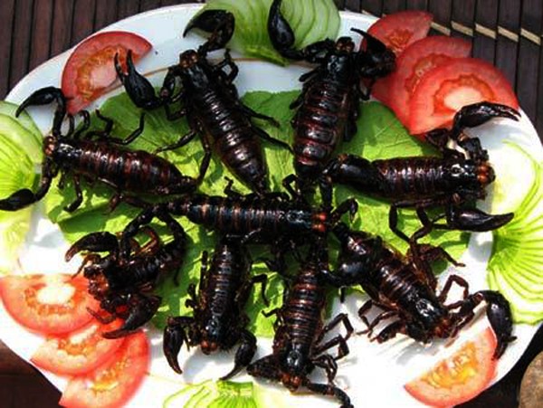 Pueden paladear insectos comestibles en Hanoi?    - ảnh 5