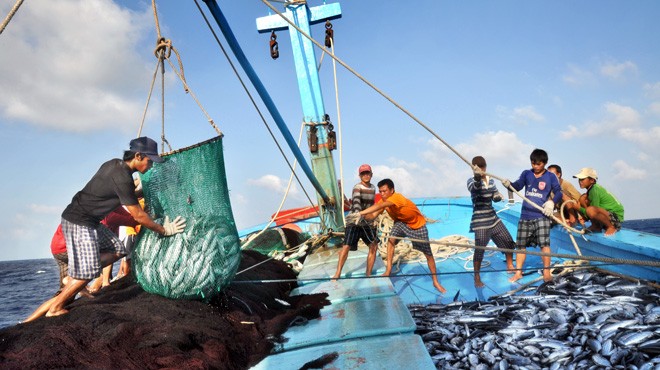 Promueven eficiencia pesquera en Vietnam en 2014 - ảnh 1