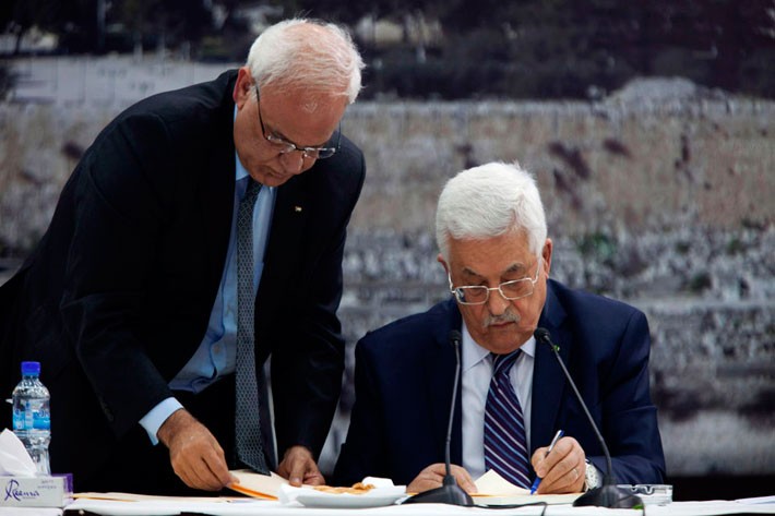 Recibe ONU cartas de adhesión de Palestina a convenciones internacionales - ảnh 1