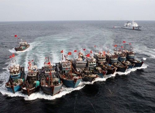Barcos pesqueros de China penetran en aguas surcoreanas - ảnh 1