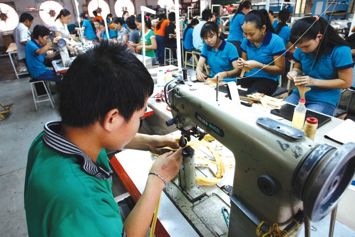 Preparan empresas vietnamitas para la integración a la AEC - ảnh 2