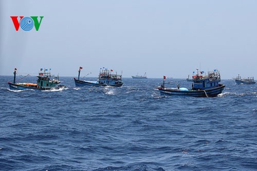 Pescadores vietnamitas mantienen trabajo con valentía en aguas violadas por China - ảnh 18