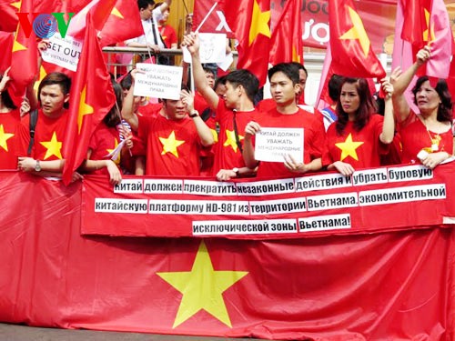 Comunidad de vietnamitas en ultramar aportan 100 mil dólares a la defensa nacional en Mar Oriental - ảnh 3