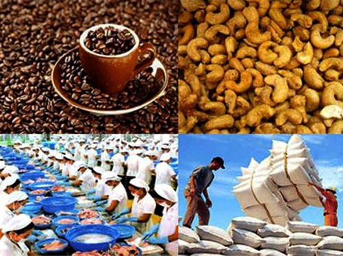 Buscan nuevos mercados para los productos agrícolas exportadores de Vietnam  - ảnh 1