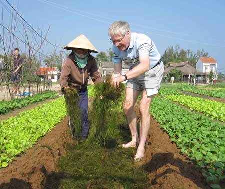 Visitantes experimentan el cultivo de verduras en Tra Que-Hoi An - ảnh 3