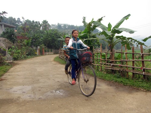 Optimizan recursos internos en el desarrollo rural en Tan Trao - ảnh 1