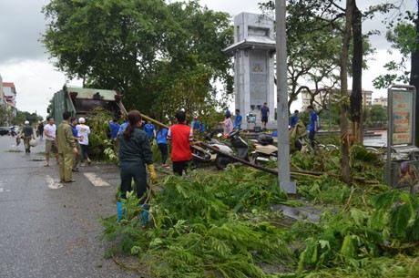 Localidades vietnamitas se recuperan del tifón Rammasun - ảnh 1