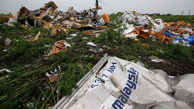 Objetivos políticos detrás de la tragedia del MH17 - ảnh 2
