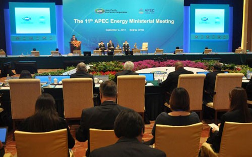 Comparte Vietnam experiencias sobre uso energético en Conferencia de APEC - ảnh 1