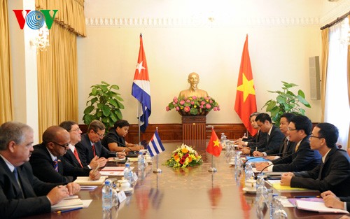 Ratifican altos dirigentes vietnamitas determinación de fortalecer relaciones con Cuba - ảnh 3
