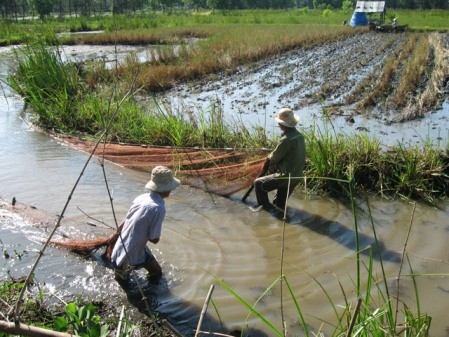 El modelo “3 en 1” ayuda a agricultores de Yen Khanh a salir de la pobreza  - ảnh 2