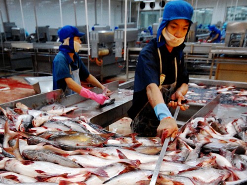 Vietnam: el mayor suministrador de pescados para Colombia - ảnh 1
