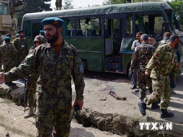 Fuerzas de seguridad afganas repelen ataque de los talibanes - ảnh 1