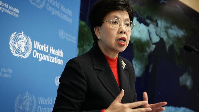 Llama OMS a elevar medidas preventivas contra Ébola en Asia del Este y Pacífico - ảnh 1