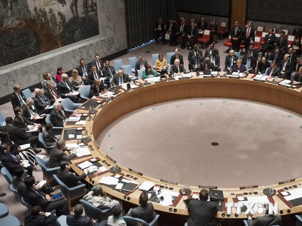 España y Venezuela, nuevos miembros no permanentes del Consejo de Seguridad de ONU - ảnh 1