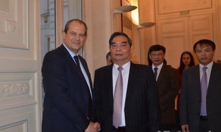 Vietnam busca fortalecer relaciones partidistas con Francia  - ảnh 1