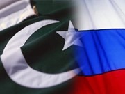 Incian Pakistán y Rusia diálogos estratégicos  - ảnh 1