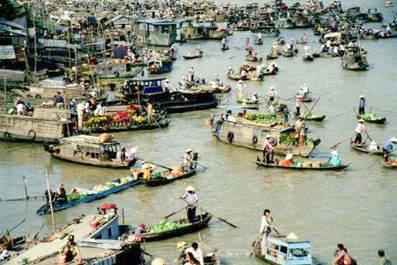 Promueven conexión regional en Foro Económico del Delta de Mekong  - ảnh 1